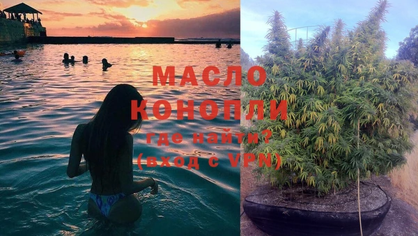 молекула духа Болотное