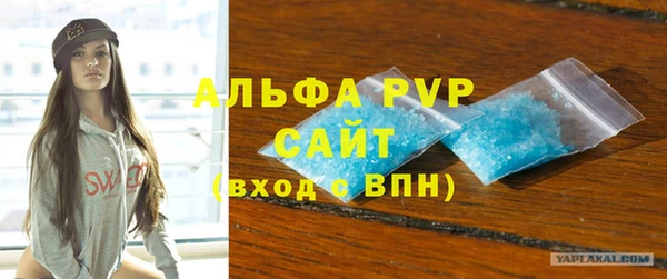 молекула духа Болотное